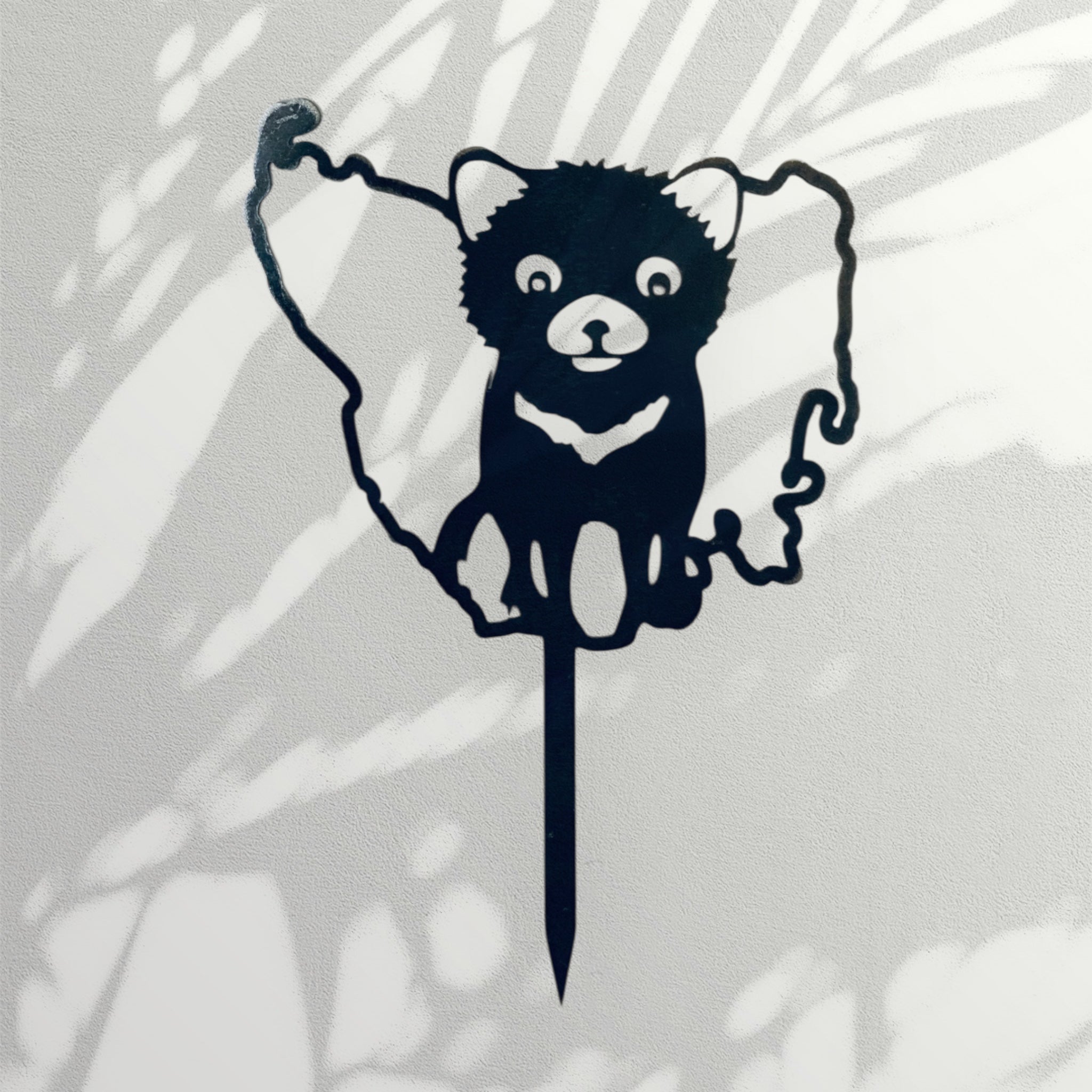 Tank the Tassie Devil