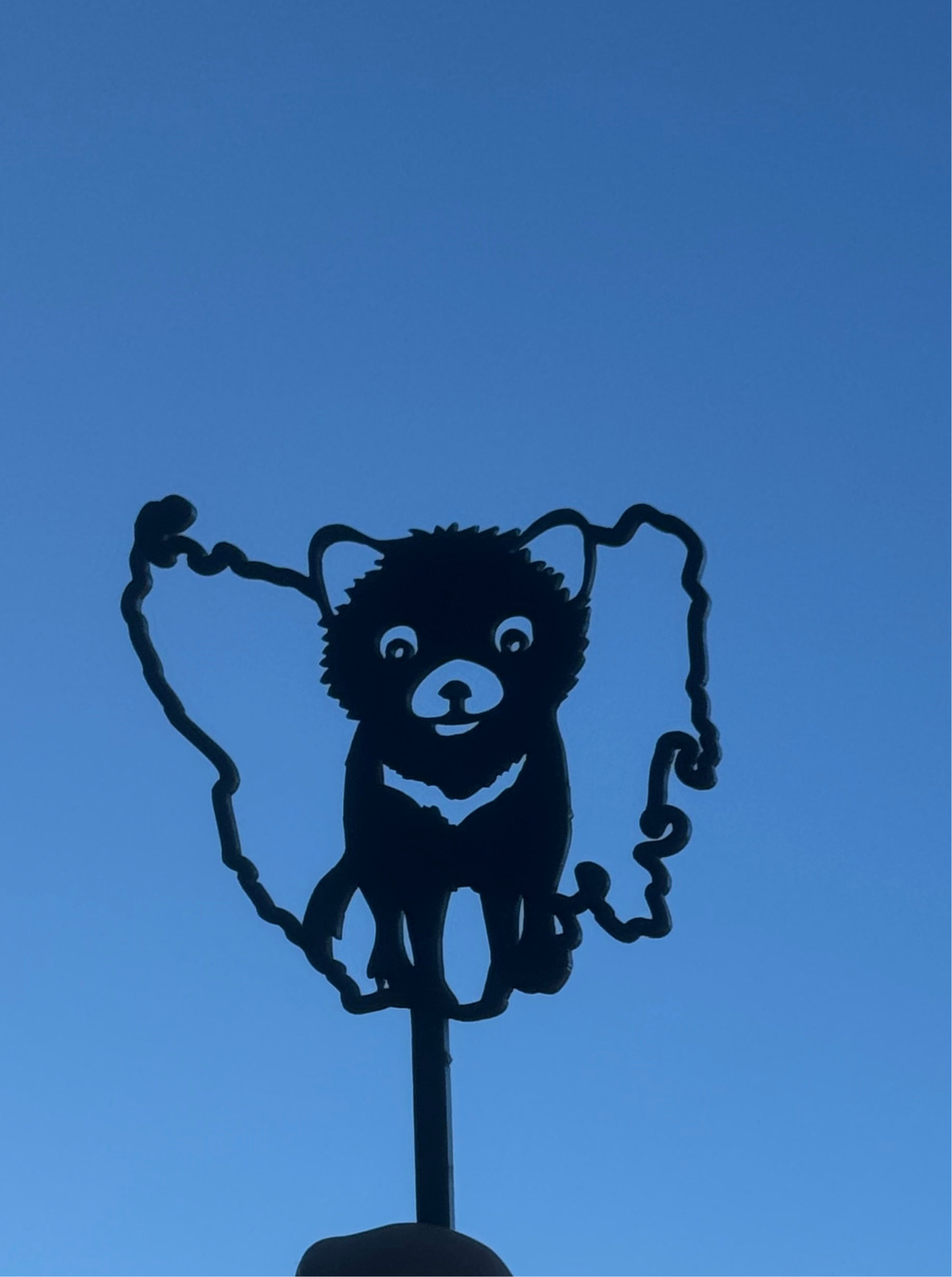 Tank the Tassie Devil